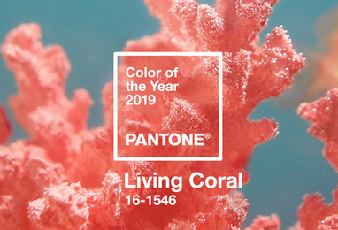 Najmodniejsze kolory na wiosnę 2019 według Raportu Instytutu Pantone